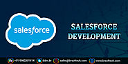 SalesForce Development Services