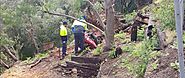 Emergency Tree Removal | Remove Dead and Overhanging Branches Adelaide, Flagstaff | TJA Tree services