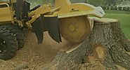 Tree Stump Grinding | Stump Removal Adelaide