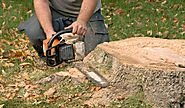 Why Do You Have to Use The Stump Removal Adelaide? – TJA Tree services