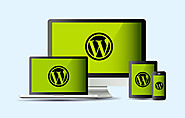 Custom Wordpress Website Design in Oman