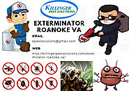 Exterminator Roanoke VA | Pest Control Roanoke VA | Termite Control Roanoke VA