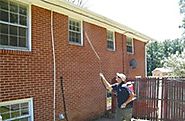 Pest Control Roanoke VA | Exterminator Roanoke VA | Termite Control Roanoke VA