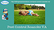 Pest Control Roanoke VA | Termite Control Roanoke VA | Exterminator Roanoke VA