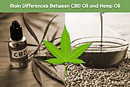What are The Differences between CBD Oil and CBD Hemp Oil