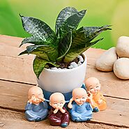 Buy or Order Sansevieria In A Ceramic Pot And Cute Monks_x000D_ Online , India's Best Gifting Website - OyeGifts