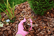 What Are The Different Types Of Organic And Inorganic & Synthetic Mulches? - Hufforbes