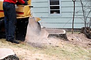 How to Find Stump Grinding and Removal Services Near You