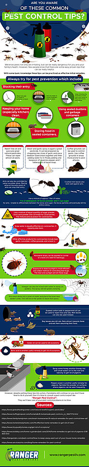 Are you aware of these common pest control tips