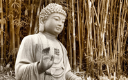 Great Buddha Quotes
