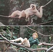 This is What Zookeepers Do after Closing Hours · Love Your Pet
