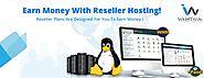Reseller Hosting in Pakistan with Cpanel / WHM or Pleask - WebITech