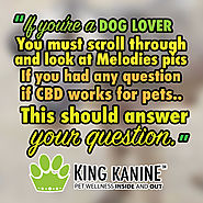 Everything for Every Pet at King Kanine