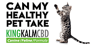 Should I Give CBD To My Healthy Pet?