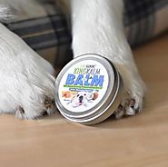 What Is The Reason Behind Huge Demand of King Kanine’s CBD Paw Balm