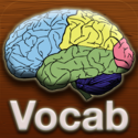 Vocabulary Build