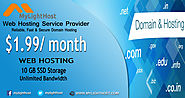 web hosting service provider