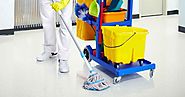 Keep Your House Clean With Professional Cleaners Help