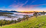 Dalat, Vietnam 2018: The Essential Travel Guide to Dalat | Journey On Air