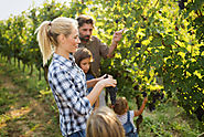 Going on a Wine Tour with Kids? These Tips Might Help