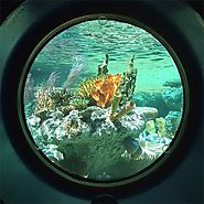 Explore Cayman Islands Exotic Marine Life on a Submarine Tour