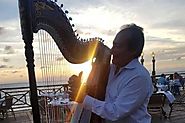 Harpist Extraordinaire - Offering A Musical Touch To Your Dining