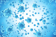 New Research Suggests Probable Cure for Common Cold