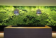 Green wall systems in uae