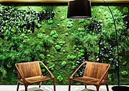 Landscape design company in UAE | Natural green wall in Uae