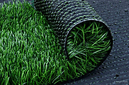 INFOGRAPHIC: IS ARTIFICIAL GRASS A GOOD IDEA FOR YOUR CAYMAN HOME GARDEN?