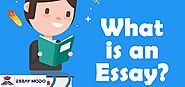 What is an Essay? - EssayModo.com