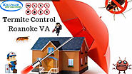 Termite Control Roanoke VA | Killinger Pest Solutions