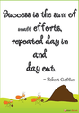 Success is the sum of small efforts repeated day in day out