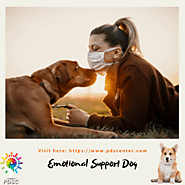 Why Do Therapists Suggest Emotional Support Dogs For People With Psychological Disorders?