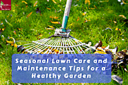 Seasonal Lawn Care and Maintenance Tips for a Healthy Garden