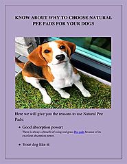 KNOW about WHY to CHOOSE NATURAL PEE PADS for YOUR DOGS