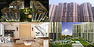 Galaxy Vega Residential Apartments, Galaxy Project in Noida Extension