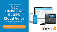 Scale New Heights with NEC Univerge Blue Cloud Voice