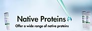 EGF Recombinant Proteins - Creative BioMart