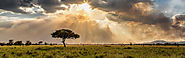 Serengeti Park - Information - Serengeti Safaris and Tours
