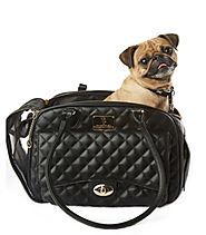 Luxury Carriers for Small Dogs