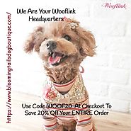 Irresistible Dog Clothes by Wooflink