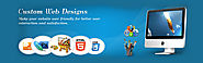 Custom Website Design Services Company in Delhi,Custom Web Design