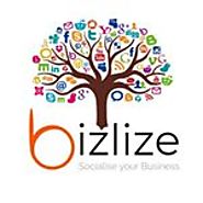 Bizlize Solutions (@bizlizer) • Instagram photos and videos