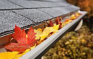 Best Gutter Cleaning Services Prices