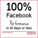 100% Facebook Performance - Free video series
