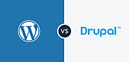 Drupal or WordPress: Which CMS Platform Is Better? | Matter of software