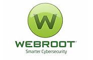 Website at https://www.safe-webroot.com/
