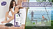 Herbal Treatment to Treat Effect of Low Testosterone in Older Males