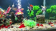Fish Tank Decorations | Aquarium Decorations | Tropical Tank Decoration